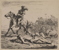 TvB G 0748
<br/>
Het slagveld
<br/>
<em>Dujardin, Karel (1622-1678)</em>